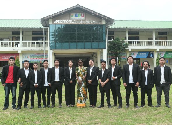 Apex Professional University